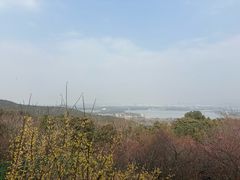 -香雪海