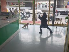 -汪喵宠物医院·骨科心脏影像·犬猫急重症ICU诊疗中心(成华分院)