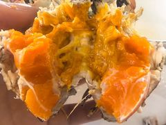 -蟹天蟹地农家菜·阳澄湖大闸蟹(浅水湾店)