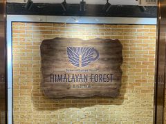 -喜马拉雅森HIMALAYAN FOREST