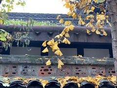 -恺庐茶园(宽窄巷子景区店)