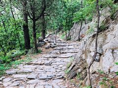 -阳台山自然风景区