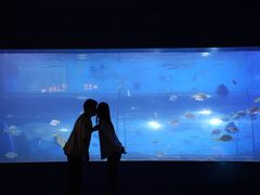 -重庆欢乐海底世界