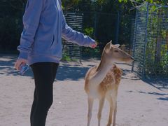 -北京麋鹿生态实验中心