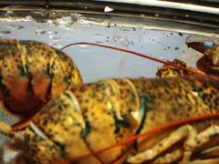 -官也街澳门火锅(新源里店)