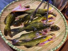 -苗岭侗寨(金阳店)