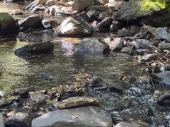 -炎帝陵景区