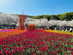 -苏州上方山国家森林公园