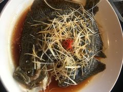 -胶东海鲜大排档(北太平庄店)