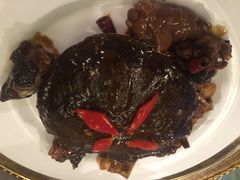 红烧野生甲鱼-徽珍源(龙茗路店)