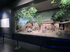 -平顶山博物馆