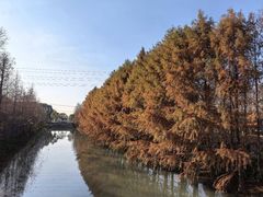 -柳鹭田园区