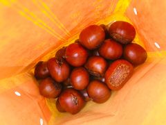 糖炒栗子-二斗栗子(西湖道店)