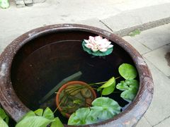 -前童古镇