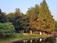 -月湖风景区