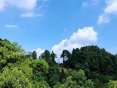 -南山植物园