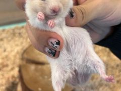 -怪兽屋·羊驼·猫咖·狗咖(俊华广场店)