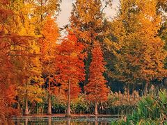 -白鹭湾湿地公园