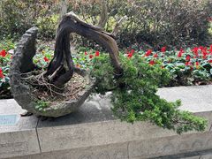 -常熟方塔园