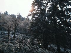 -东白山