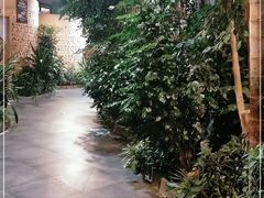 -滕头生态酒店(奉化店)
