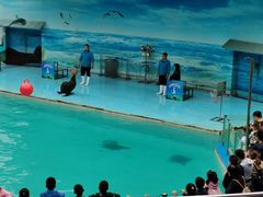 -西安秦岭野生动物园