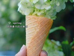-凤凰御元艺术基地