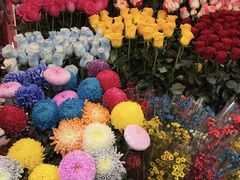 -越秀西湖花市(广州城市广场花卉店)