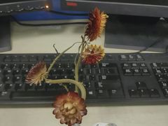 -千古迷阵密室逃脱·剧本推理(成都旗舰店)