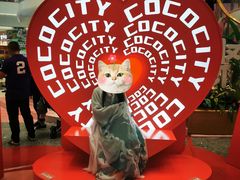 -深圳龙华星河COCO City(民治店)