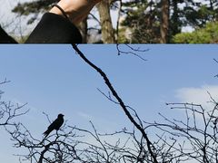 -华山风景名胜区
