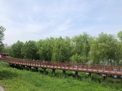 -沙澧河风景区