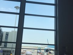 -上海浦东国际机场-T2航站楼