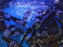 -蔚海之都·象山蒸汽海鲜(仙霞路店)