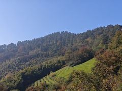 -敬亭山风景名胜区