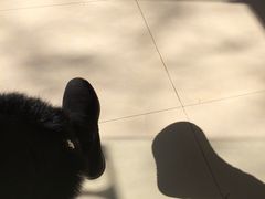 -Rabbit Cafe私房西餐甜点咖啡(栖霞路店)