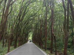 -同里国家湿地公园