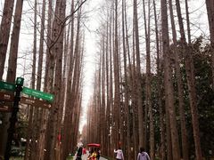 -上海植物园-4号门售票处