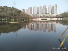 -重庆彩云湖湿地公园