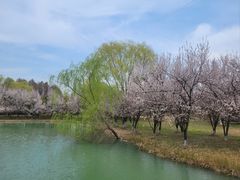 -苏州太湖国家湿地公园