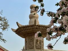 -天津大悲禅院