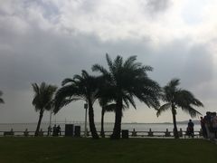 -情侣路