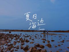 -日照海滨国家森林公园
