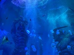 -波塞冬海底世界