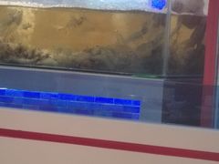 -喜虾客.鲜活虾火锅(爱之城店)