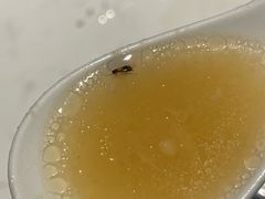 -百年果林椰子鸡(中洲店)