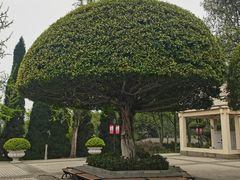 -聂荣臻元帅陈列馆