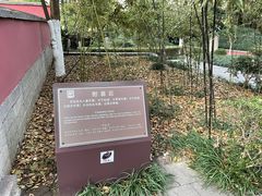 -包公祠