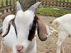 -潭柘厚院(桑峪村店)