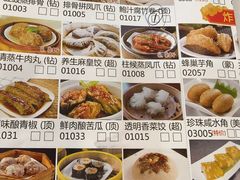 -柳饮·春柳酒家